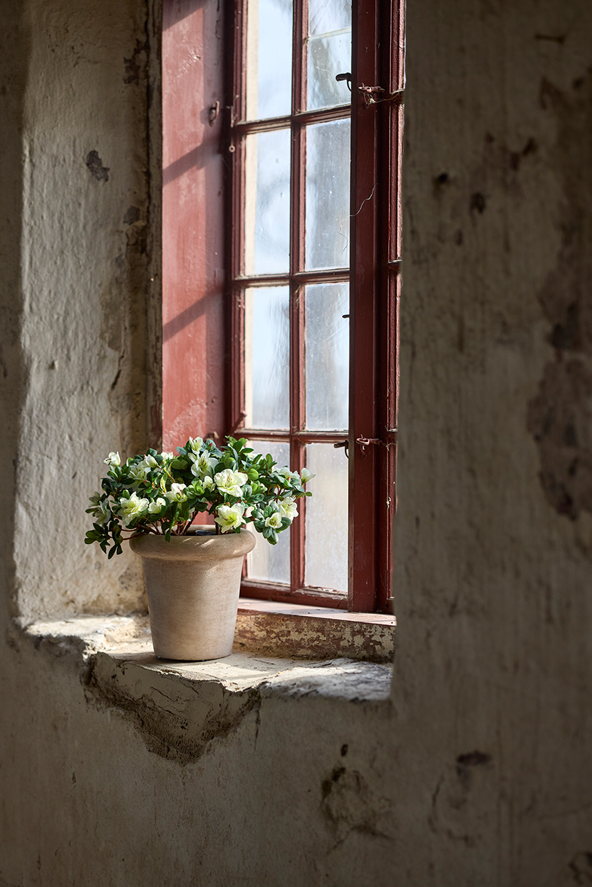 /images/imagebankSeasons/small/Mr Plant AW24/1421-10-1.jpg